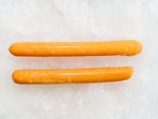 Salsicha